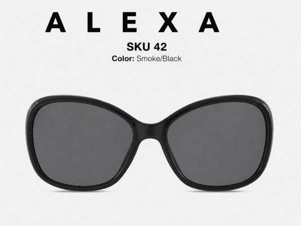 Alexa black oversized sunglasses with smoke lenses