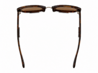 Brown tortoiseshell sunglasses top view